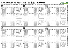 電子版