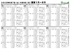 電子版